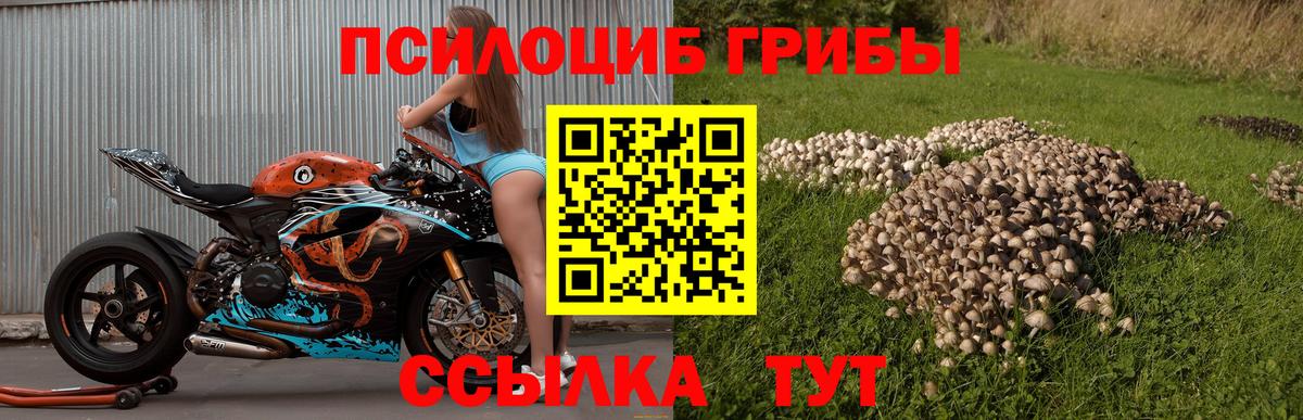 Псилоцибиновые грибы GOLDEN TEACHER Егорьевск