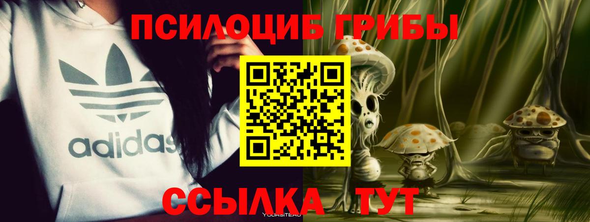 Псилоцибиновые грибы Cubensis  Псилоцибиновые грибы MAGIC MUSHROOMS  Вход с VPN  Егорьевск 